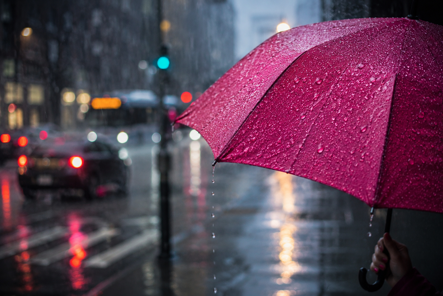 pink umbrella in vancouver local rainy weather streets What to Do in Vancouver on a Rainy Day pink umbrella in vancouver local rainy weather streets What to Do in Vancouver on a Rainy Day