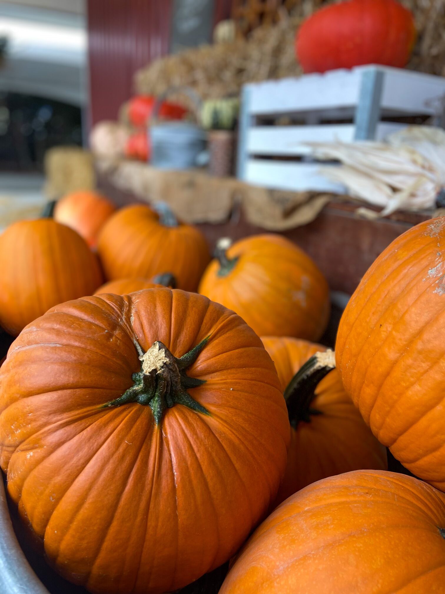 Emma Lea Farms in Kerrisdale, Vancouver