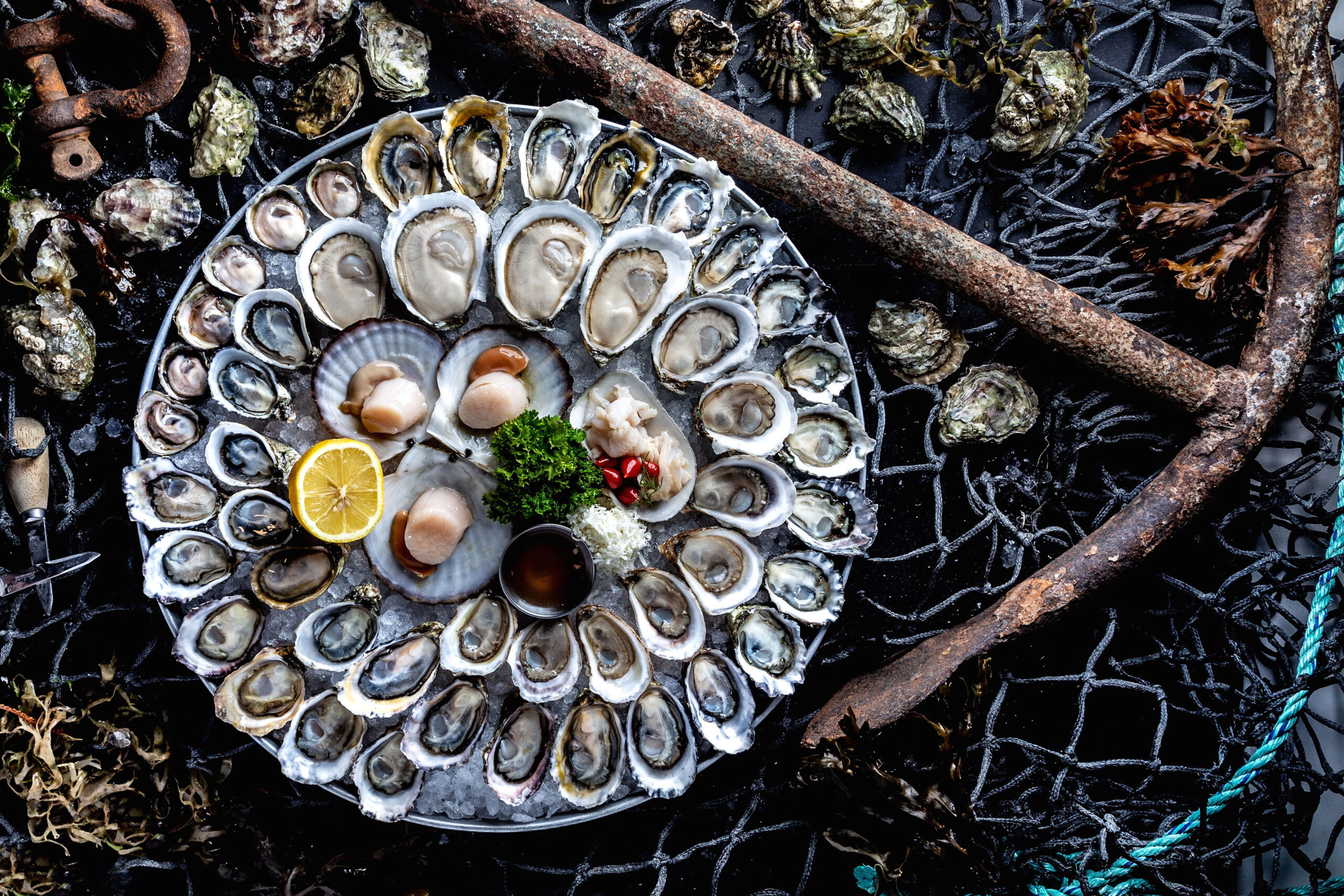 Fanny Bay Oyster Bar in Downtown Vancouver, Vancouver