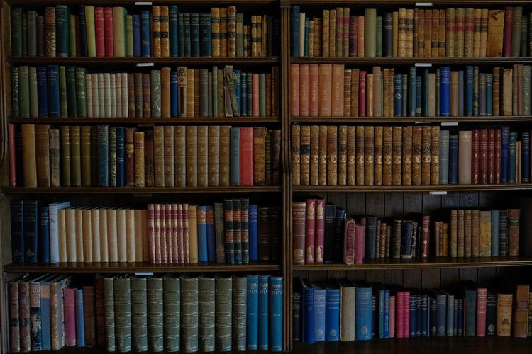 Kestrel Books in Dunbar-Southlands, Vancouver