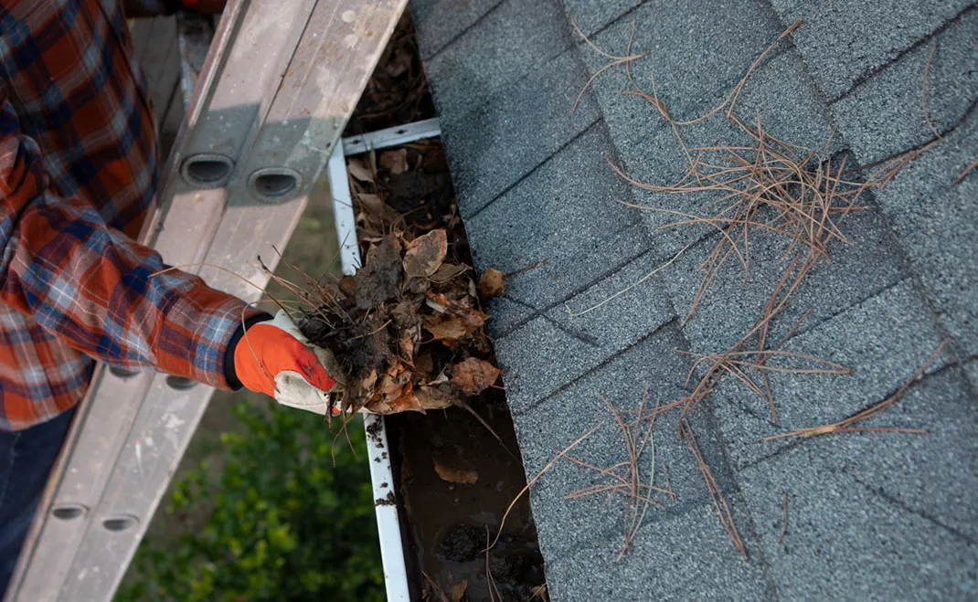Leaf Filter Gutter Protection in Kerrisdale, Vancouver