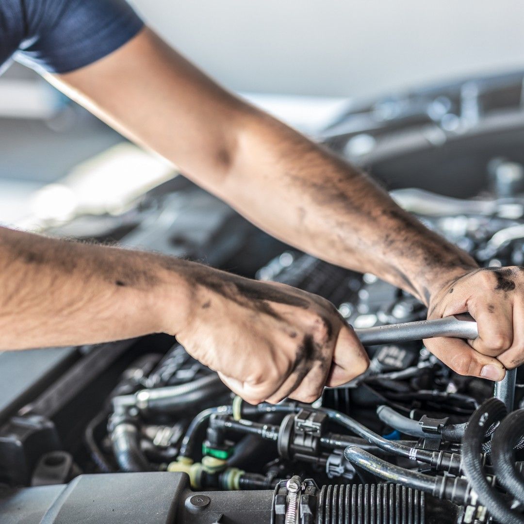 Primo Auto Care in Renfrew-Collingwood, Vancouver