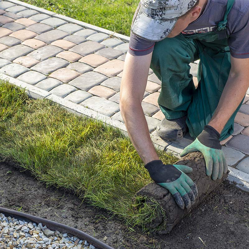 Ridgeview Irrigation & Landscaping in Kerrisdale, Vancouver
