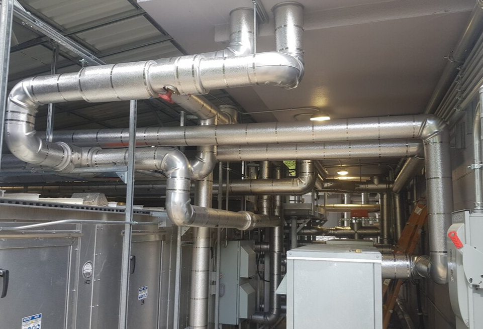 Tight 5 Contracting in Renfrew-Collingwood, Vancouver
