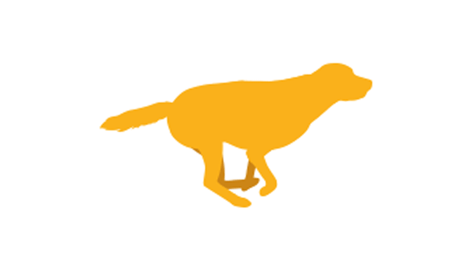 Yellow Dog Brewing in Vancouver, Vancouver