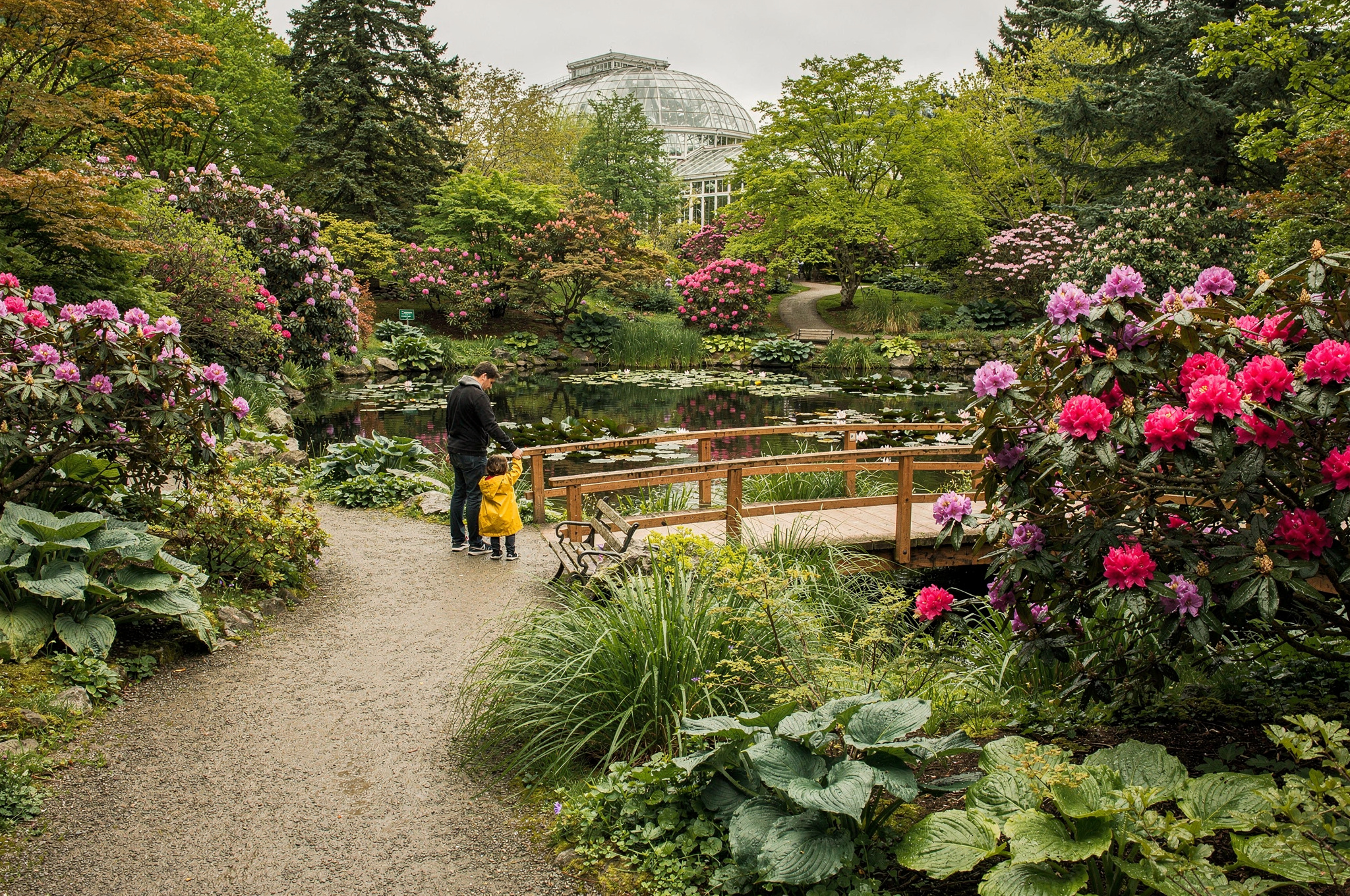 04 vandusen botanical garden v2 Parks In Vancouver for Family Outings A City Garden Adventure at VanDusen Botanical Garden section image for vancouver bc parks family outings in Vancouver BC