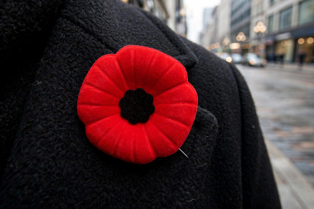 A Canadian Legion poppy pin on a black wool coat, four red flocked petals, flat black centre, no leaf, downtown street blurred behind